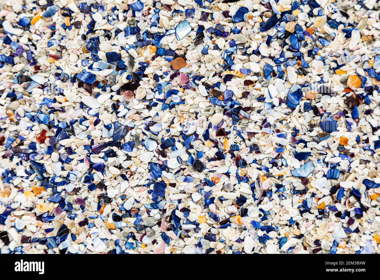 Broken Mussel shells washed up on a beach on the Western seaboard of Cape Town Stock Photo
