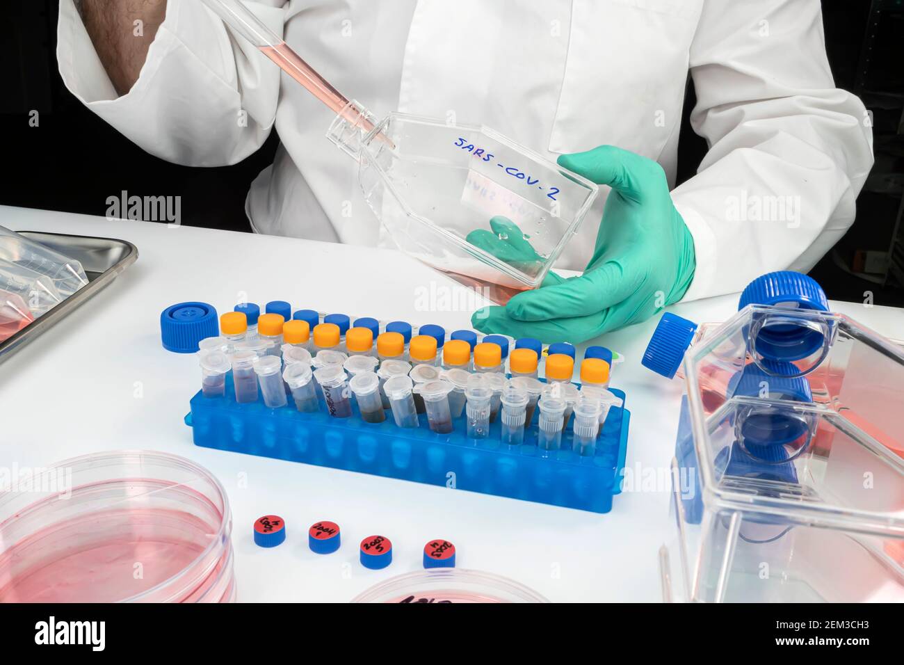 Virologist working on exogenous Sars-CoV-2 virus RNA sequence in the laboratory, conceptual image Stock Photo