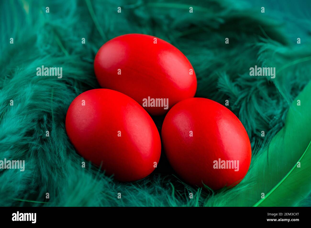 Easter eggs. Colored egg. Easter. Red eggs on green feathers Stock Photo