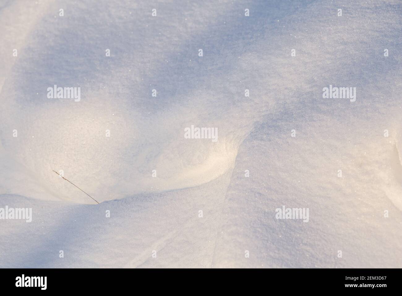 White background with fresh snow and shadows Stock Photo