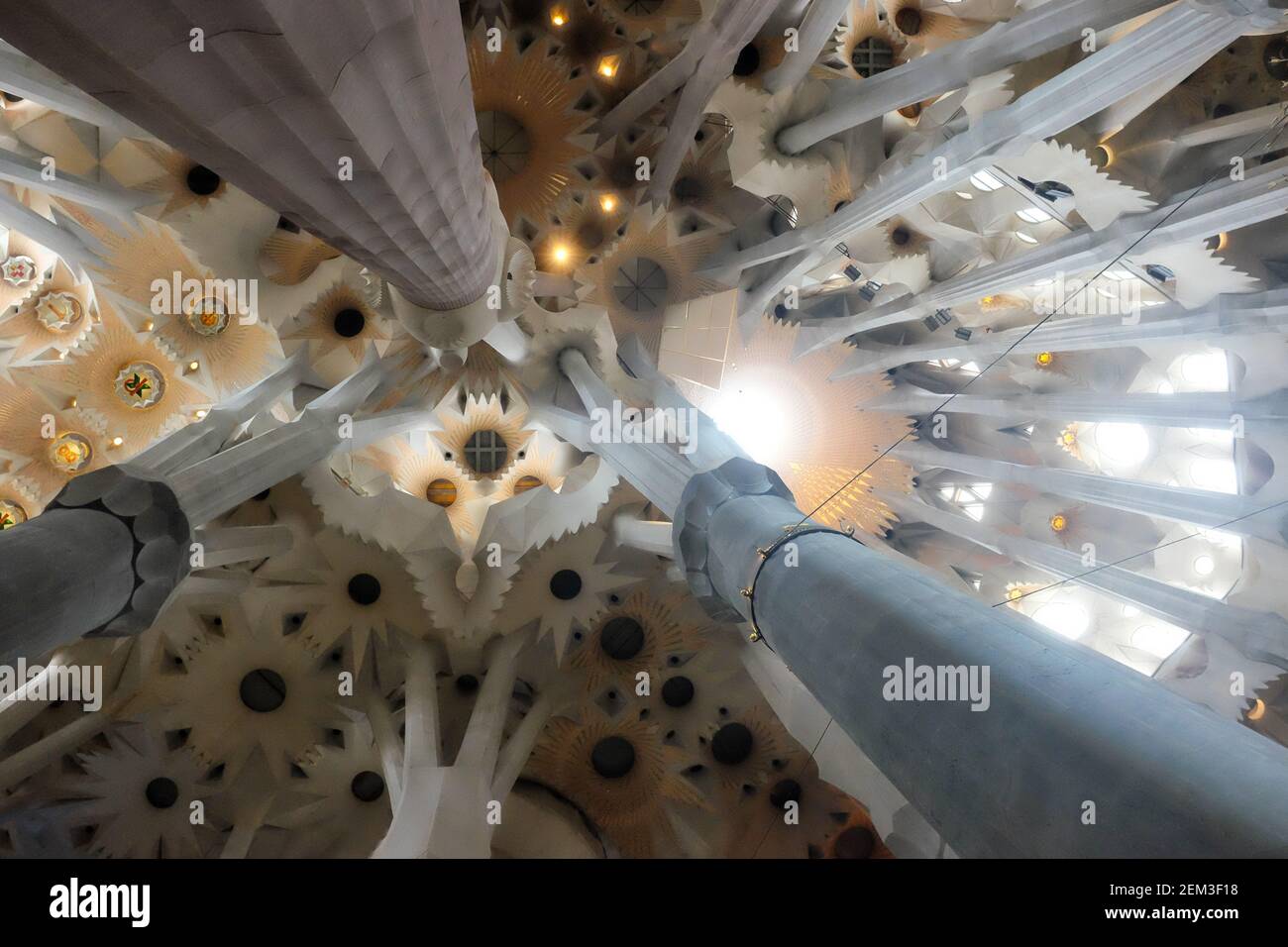 Sagrada familia interior people hi-res stock photography and images - Alamy