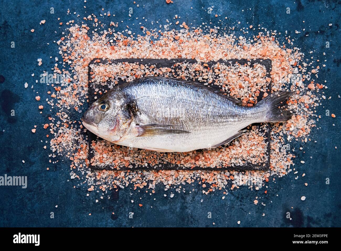Raw dorado fish on a himalayan pink salt backgrouns. Mediterranean seafood concept. Top view, copy space for text Stock Photo