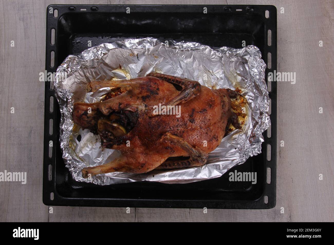 Roast Christmas duck stuffed with fruits on oven plate and aluminium foil Stock Photo