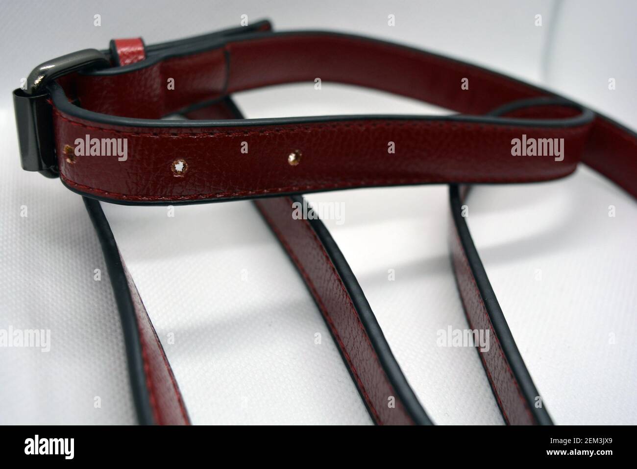 Red leather belt with metal buckle. Leather accessory ribbon chaotically scattered on a white background. Beautiful skin with shimmering and fringes. Stock Photo
