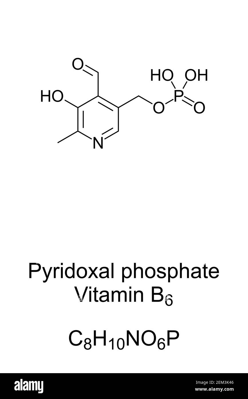 Pyridoxal phosphate, the active form of vitamin B6, chemical formula and skeletal structure. Also known as PLP or P5P, it is a coenzyme. Stock Photo