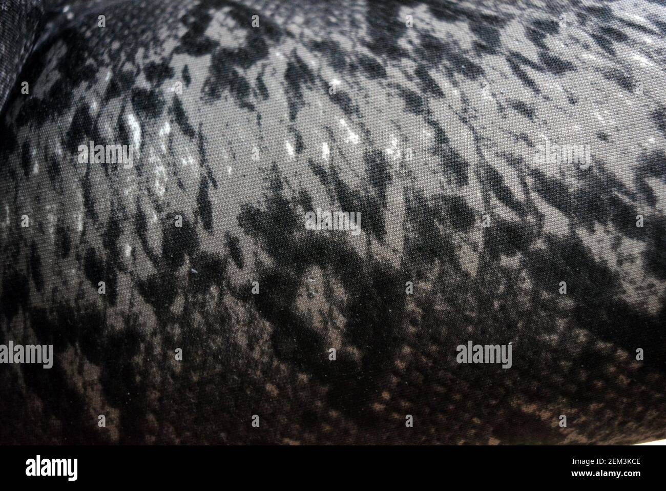 Unusual gray black animal print. Python background, snake fabric print ...