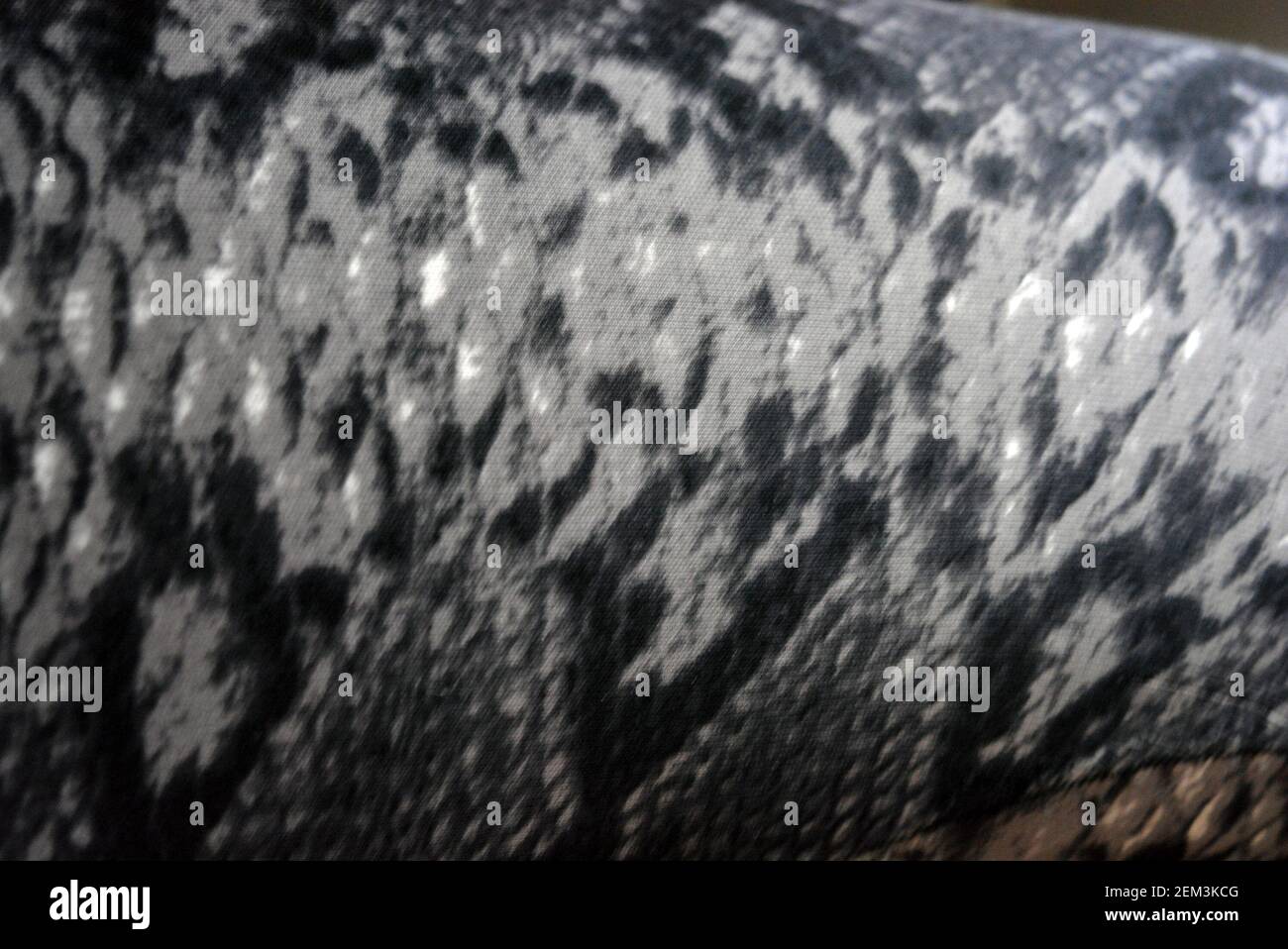 Unusual gray black animal print. Python background, snake fabric print ...