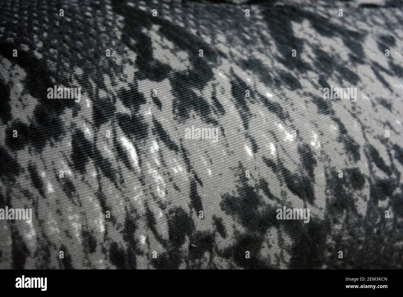 Unusual gray black animal print. Python background, snake fabric print ...