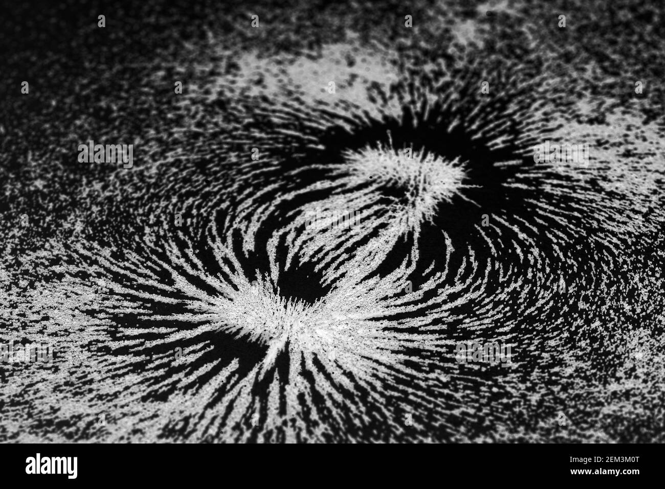 Magnetic field lines concept with bar magnet attraction and repulsion iron particles along lines of force Stock Photo