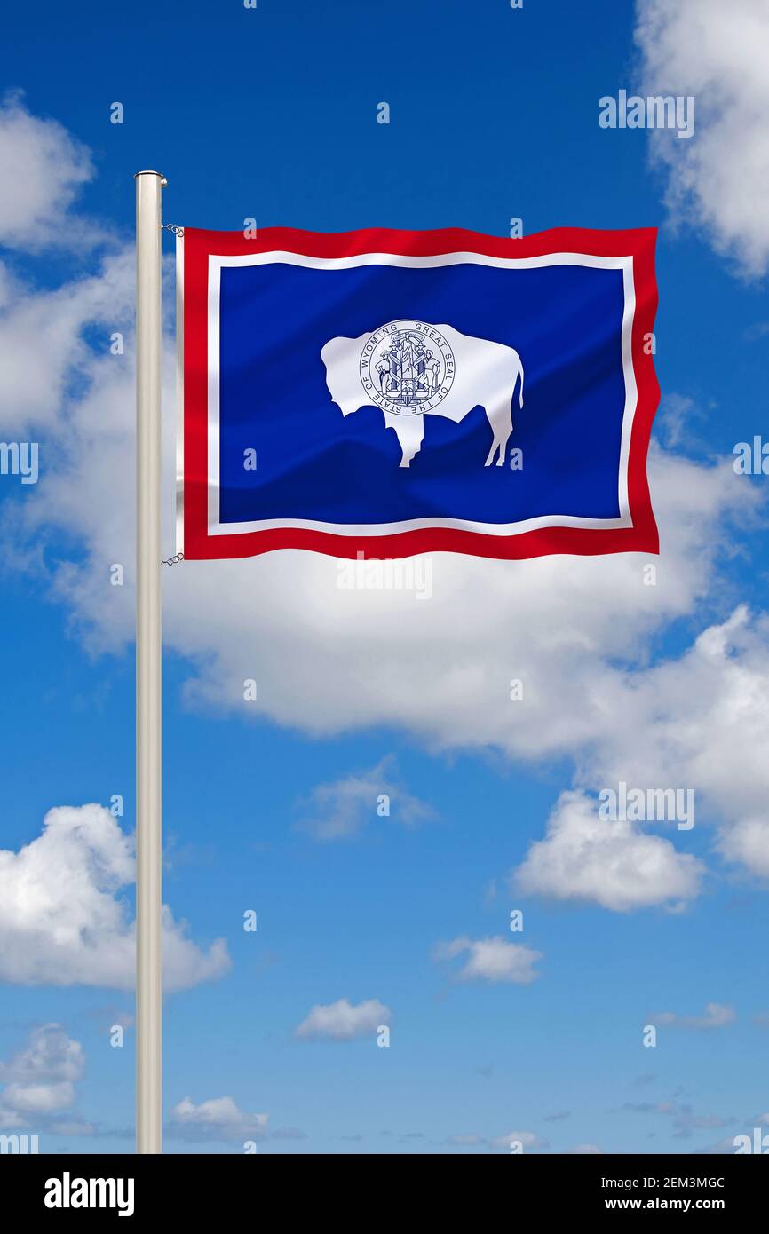 American bison, buffalo (Bison bison), flag of Wyoming against blue cloudy sky, USA, Wyoming Stock Photo