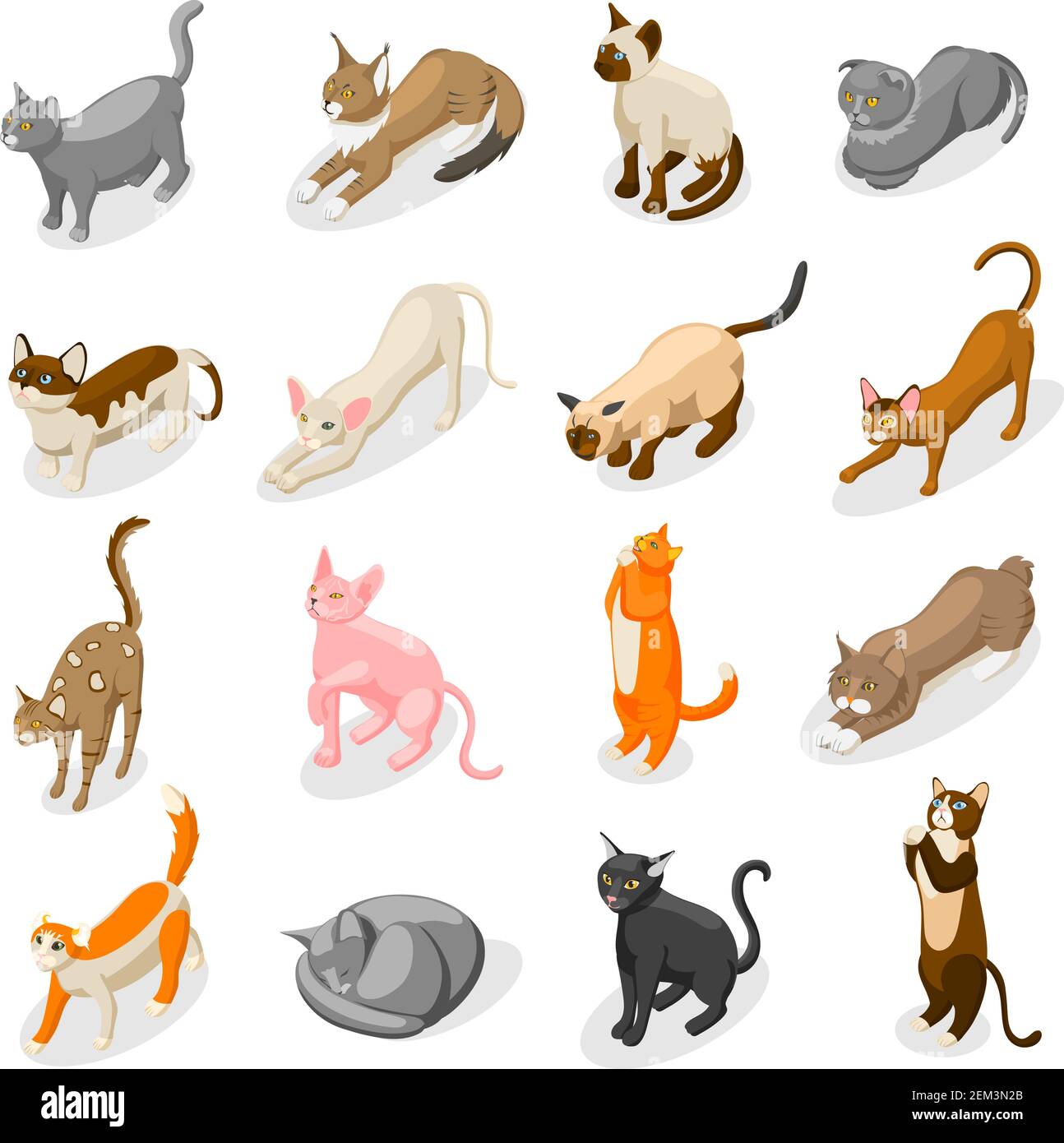 Purebred cats including scottish fold, bobtail, british, bombay and oriental breed isometric icons isolated vector illustration Stock Vector