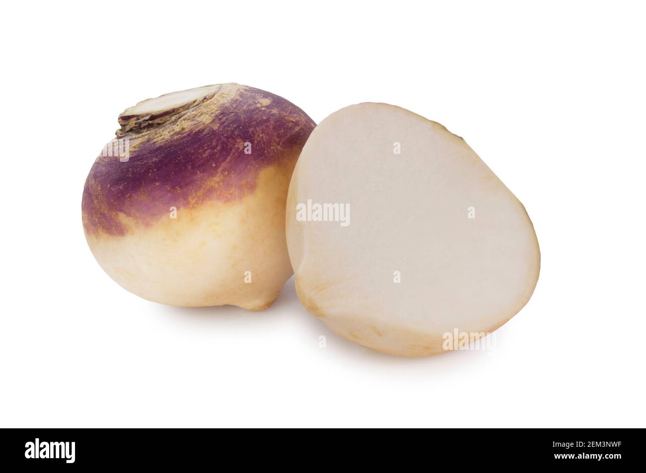 Studio shot of turnips cut out against a white background - John Gollop Stock Photo