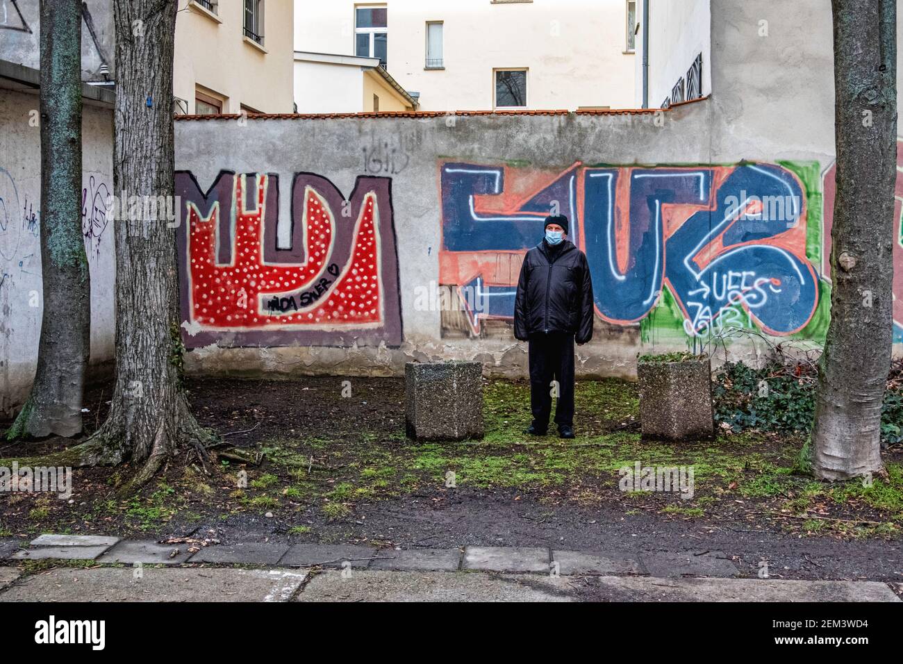 Inner courtyatd garden of apartment building in Linienstrasse, Mitte
