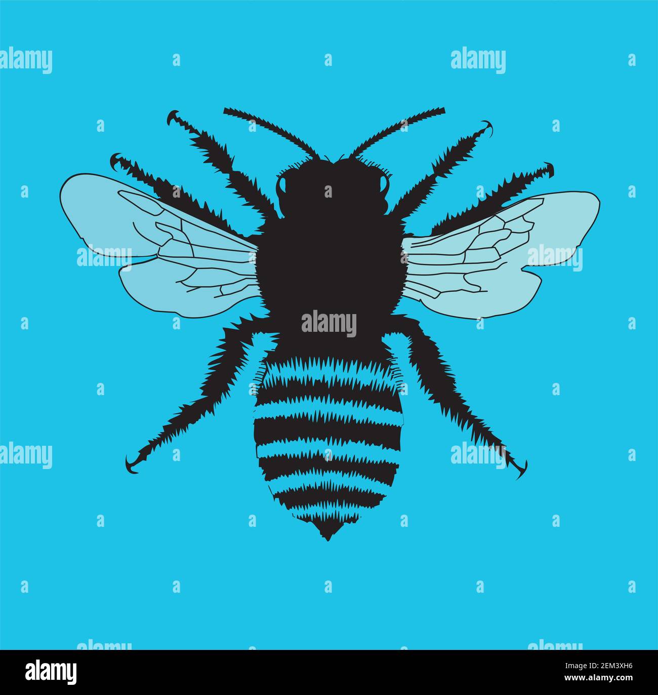 Bee, top view, vector illustration Stock Vector