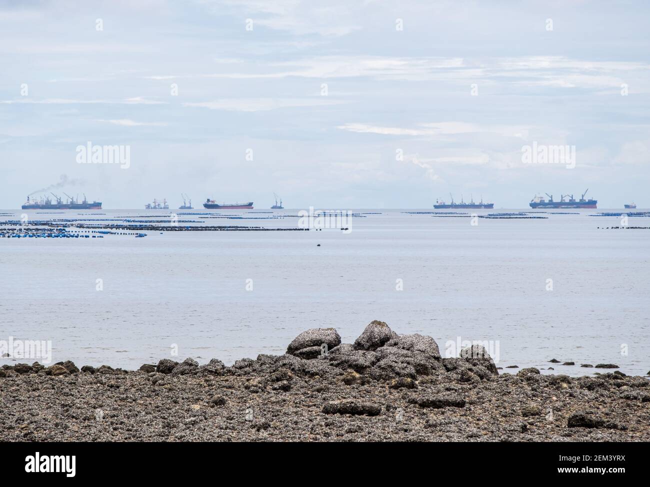 View from the rocky beach to the many cargo ships are waiting near the harbor for loading the container to deliver around the world, front view with t Stock Photo