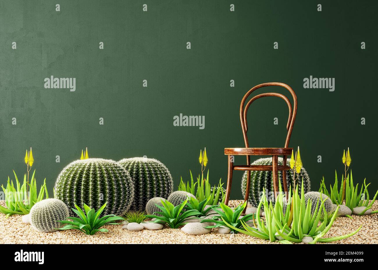 Abstract interior design with large cactus plant and old wooden chair 3D Rendering, 3D Illustration Stock Photo