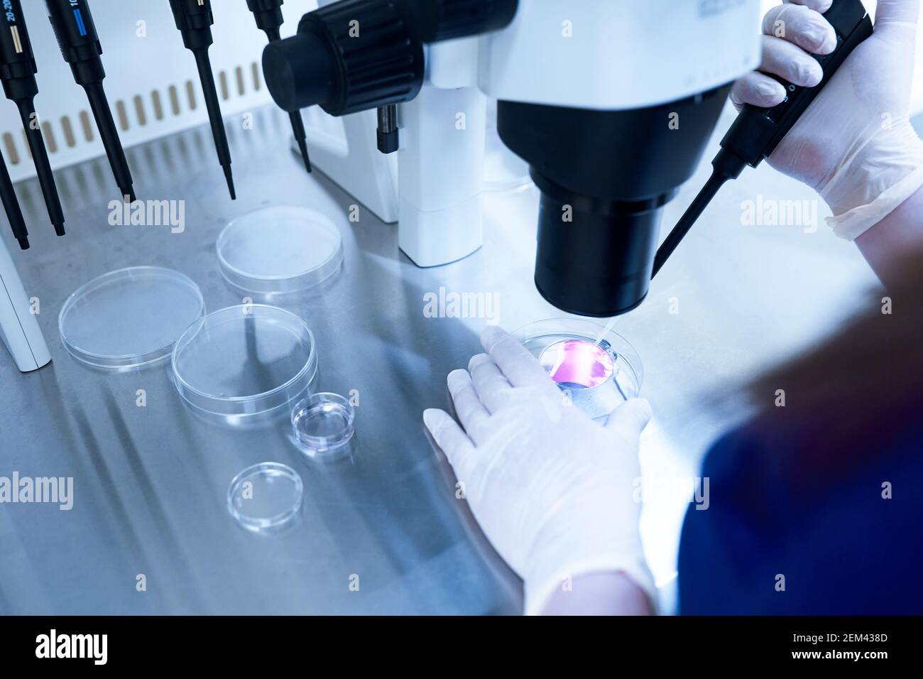 Microscope of reproductive medicine clinic fertilizing egg outside female body Stock Photo