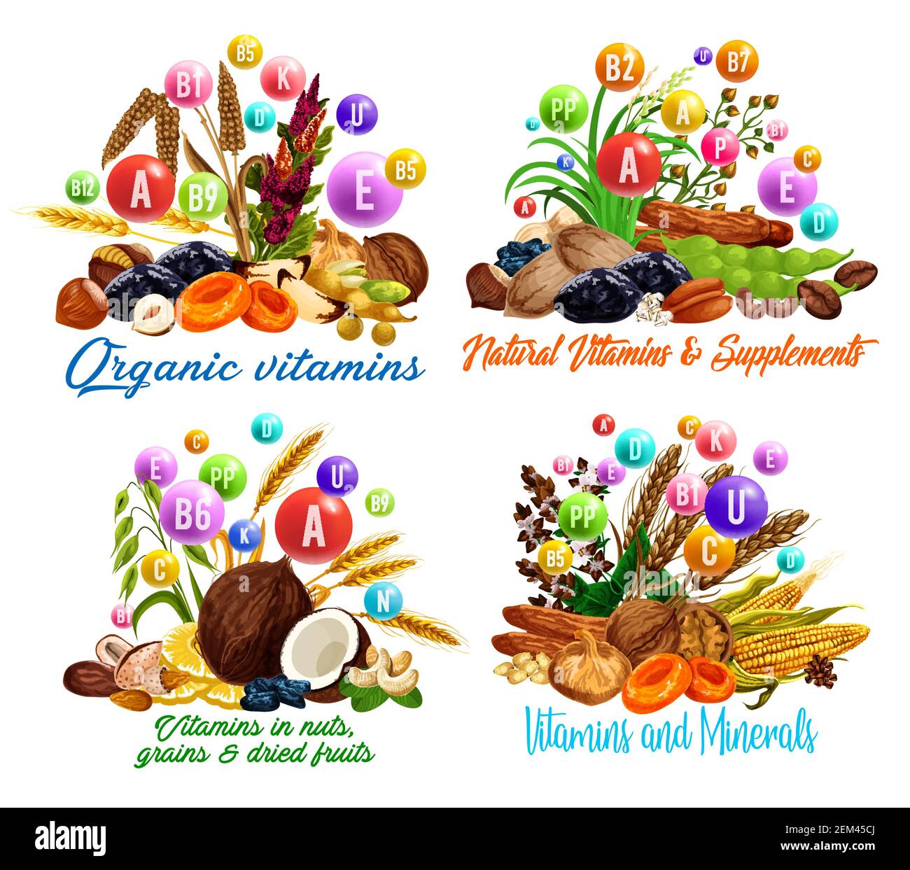 Vitamins in dried fruits, nuts, cereal grains and beans vector design