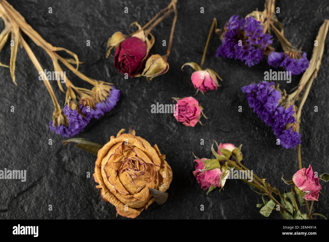 Dry flowers colorful background hi-res stock photography and images - Alamy