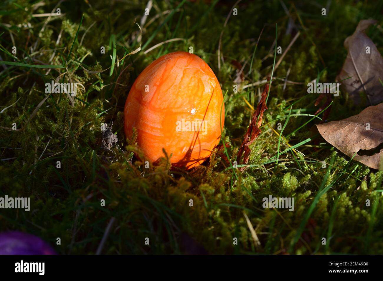 Orange colored easteregg in the mossy grass Stock Photo