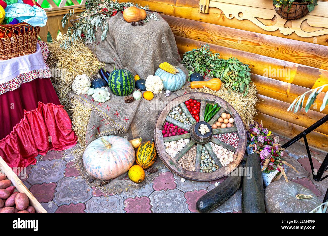 Composition from autumn various colorful fresh vegetables Stock Photo