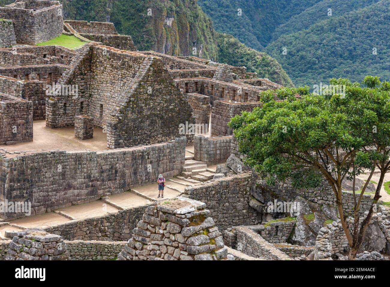 What Are The Incas Known For
