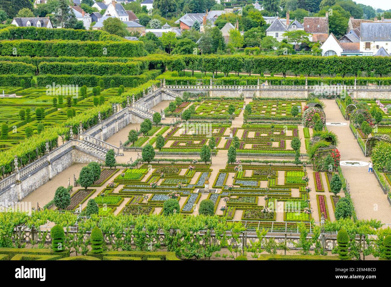 France, Indre et Loire, Loire valley listed as World Heritage by UNESCO, the castle and the gardens of Villandry, the Potager // France, Indre-et-Loir Stock Photo
