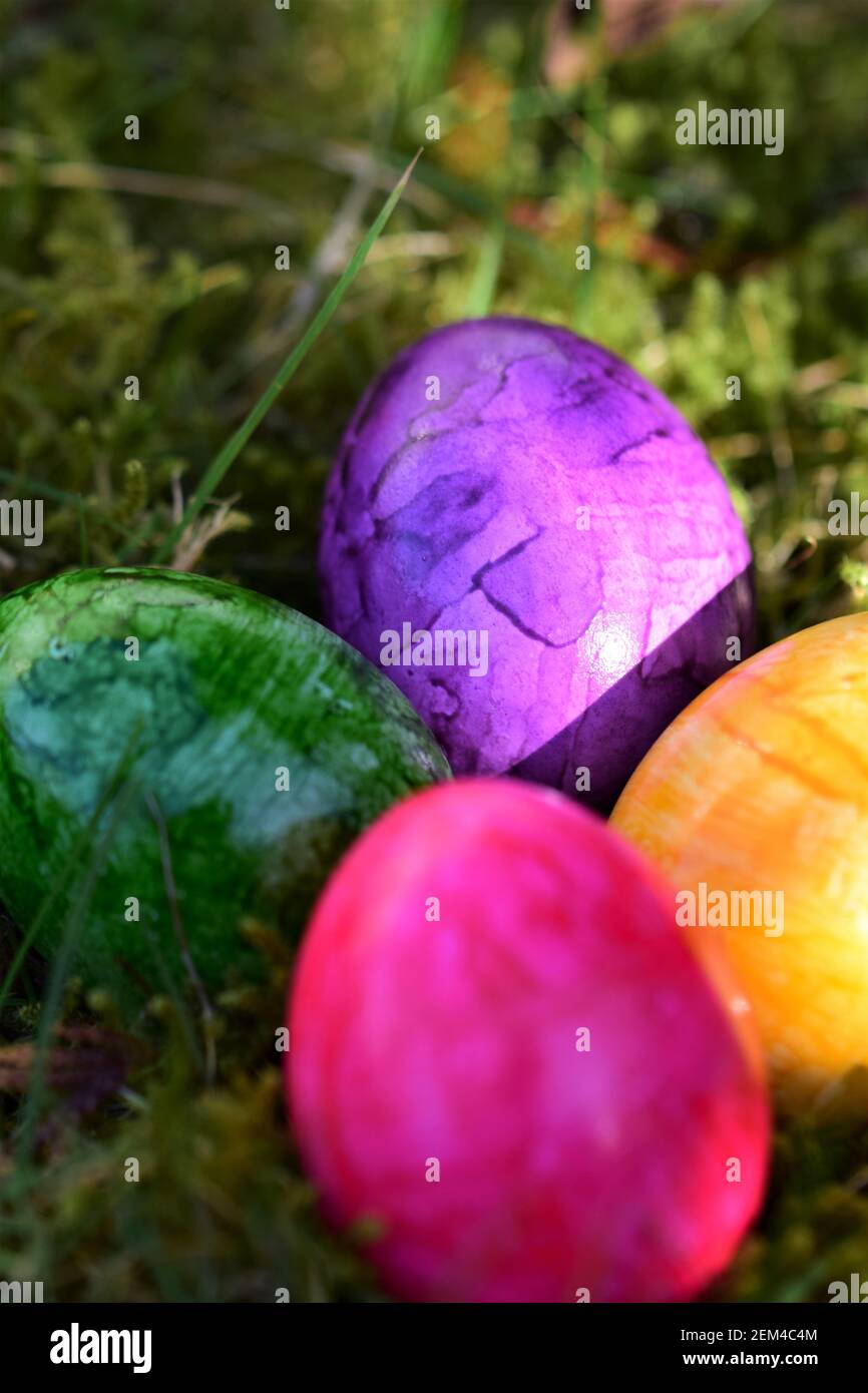 Close up of colorful eastereggs in the mossy grass Stock Photo