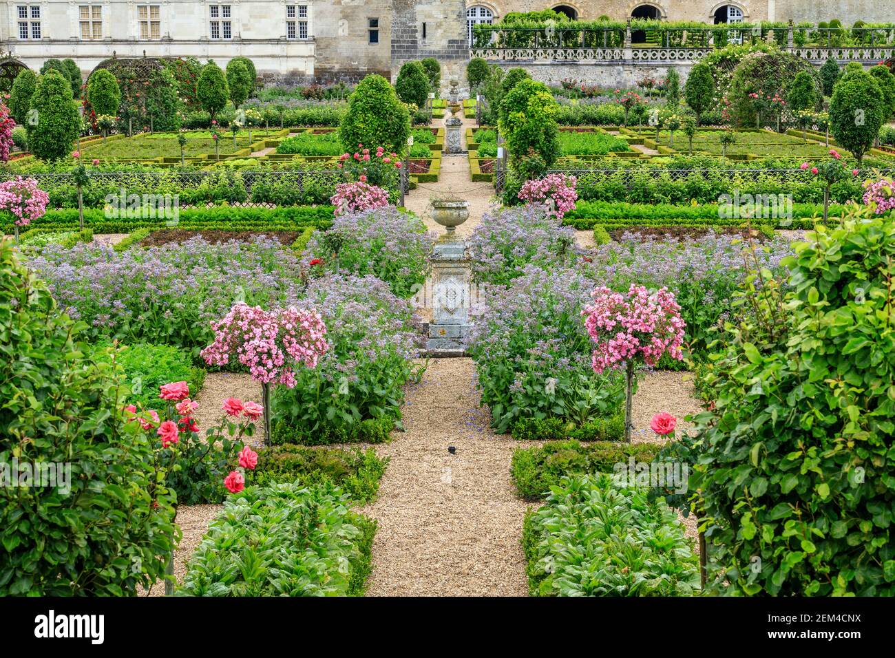 France, Indre et Loire, Loire valley listed as World Heritage by UNESCO, the castle and the gardens of Villandry, the Potager, square with borage (Bor Stock Photo