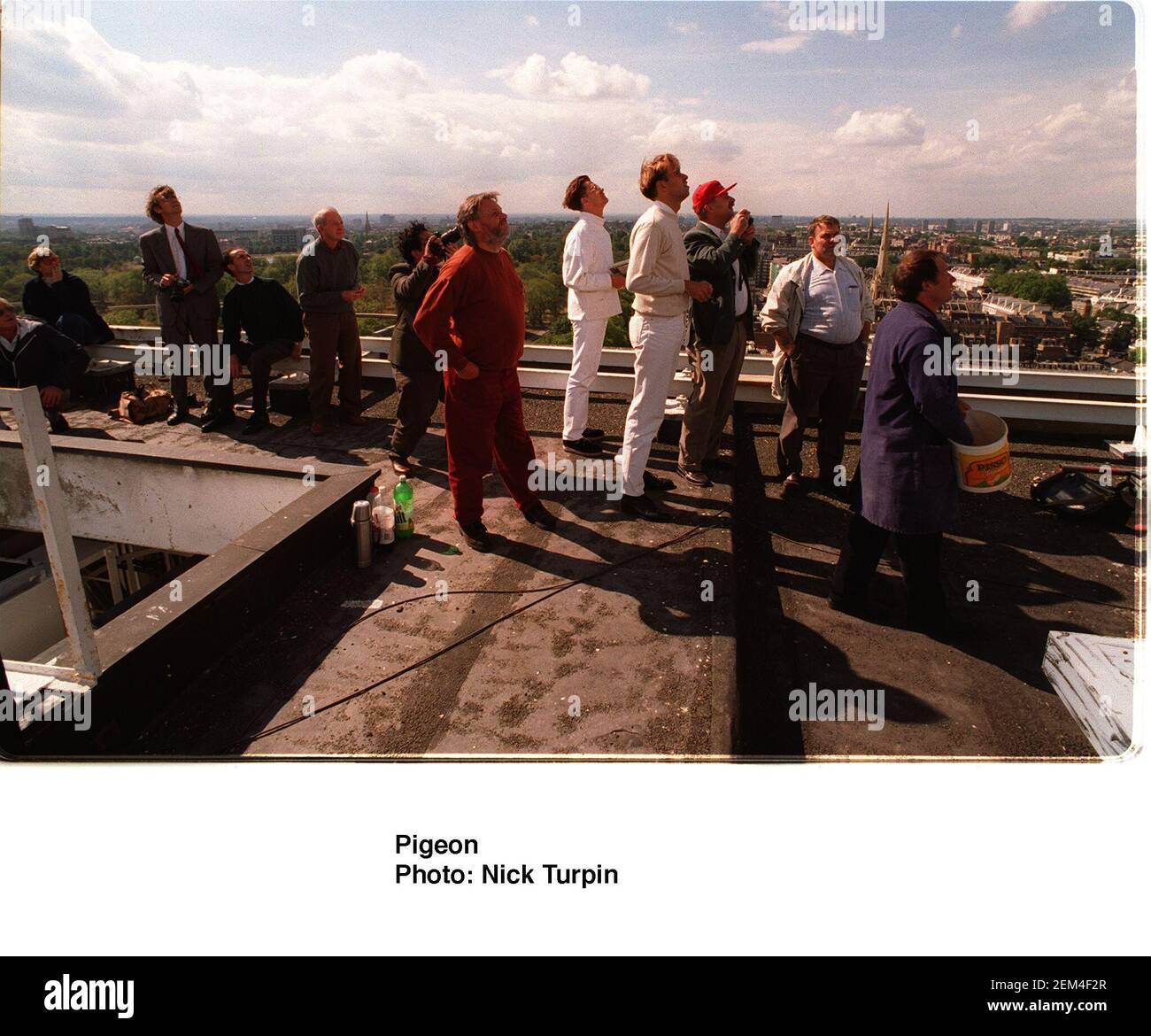 Pigeon owners on roof of hotel awaiting the return of their birds
