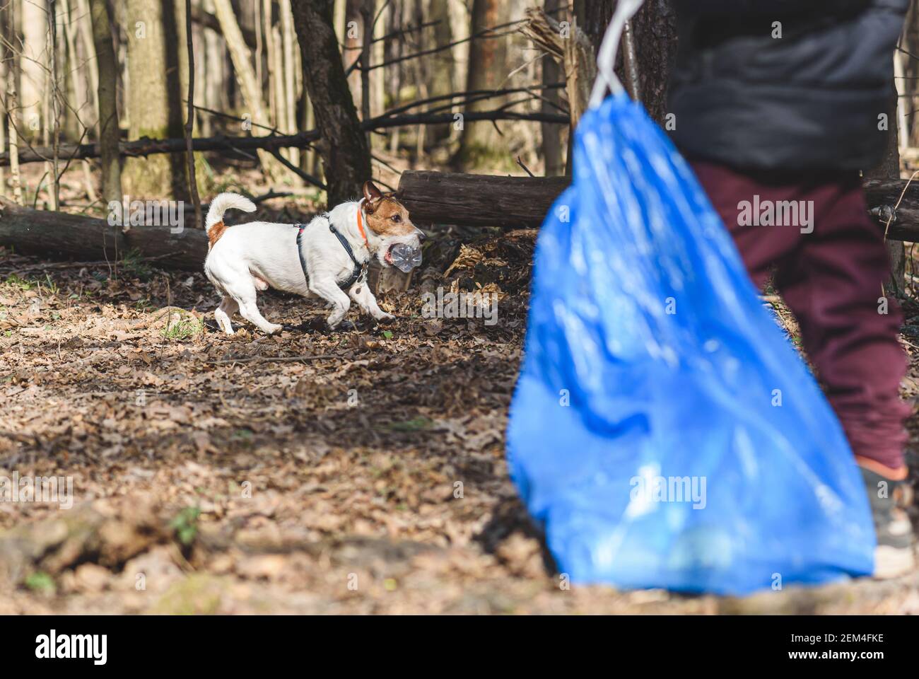 Earth day concept with kid and dog cleaning park gathering plastic bottles Stock Photo
