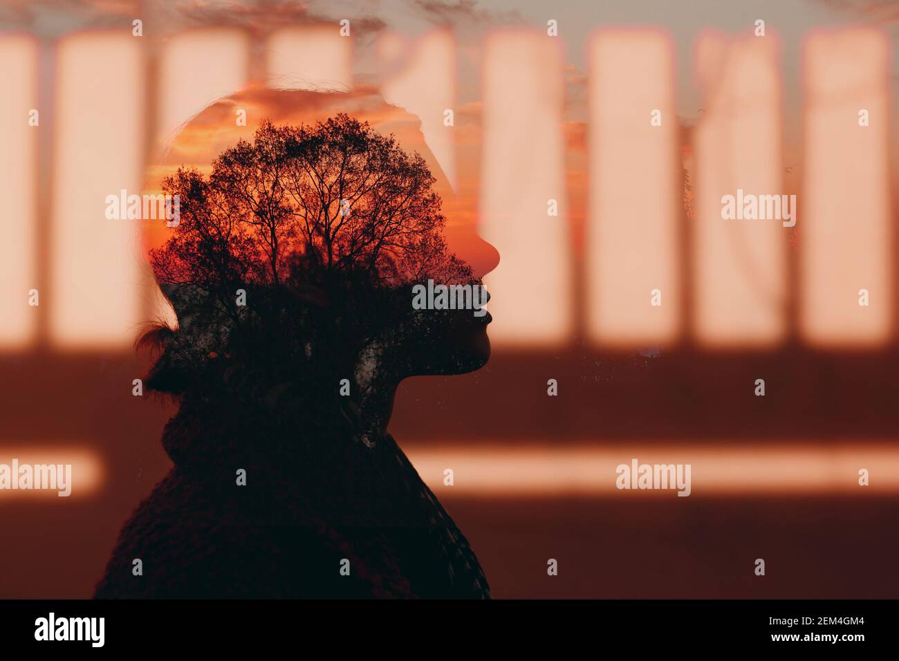 Double exposure portrait of young woman and tree at sunset in her head ...