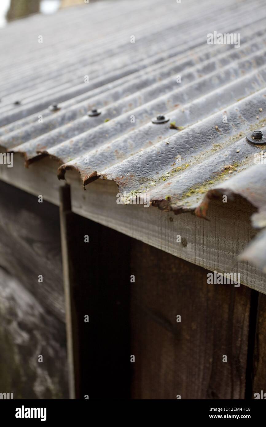 Corrugated tin roof Stock Photo