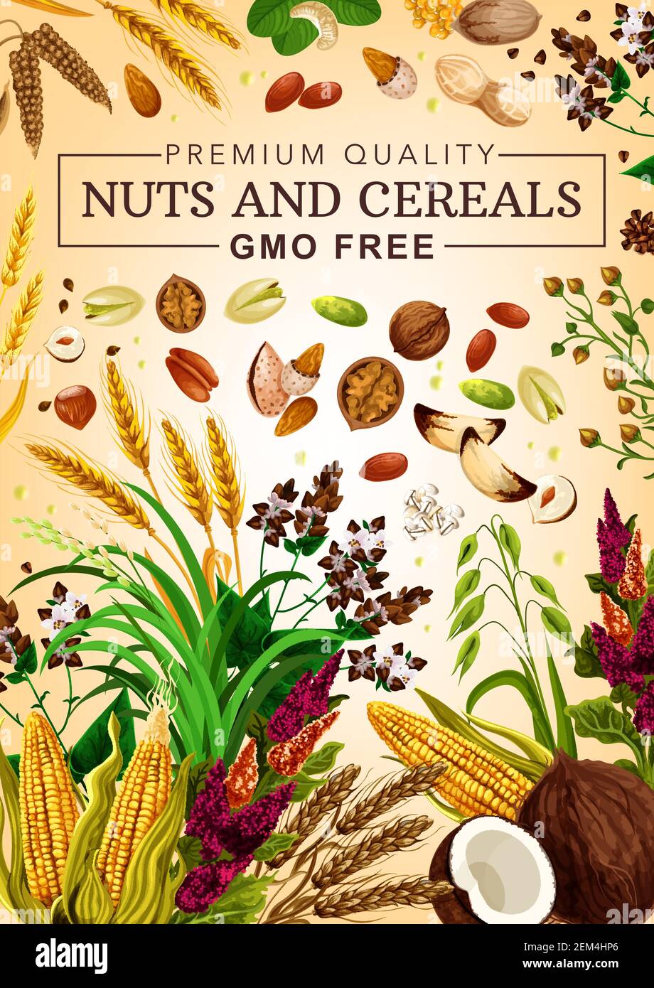 Chia muesli almond Stock Vector Images Alamy