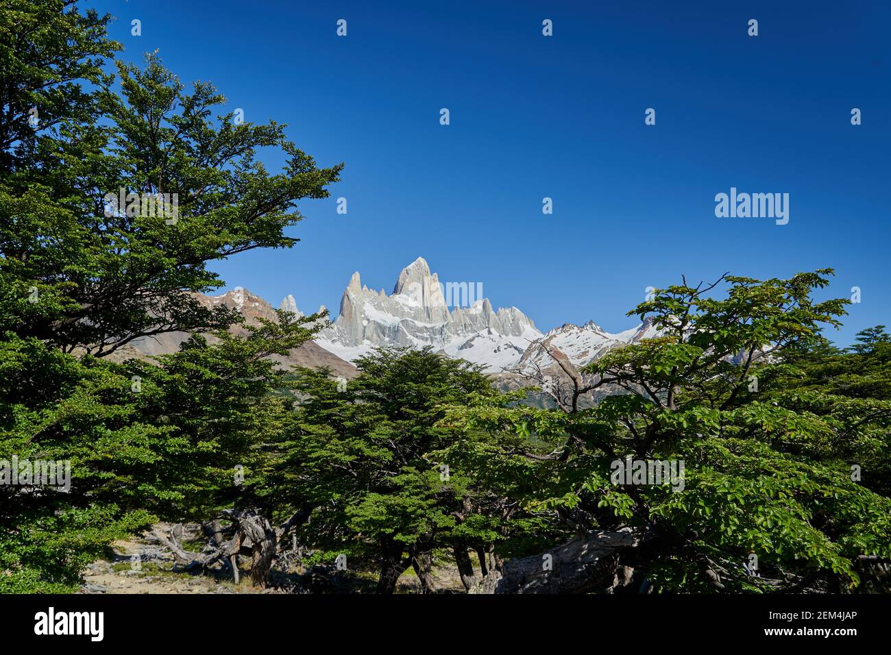 Mount Fitzroy  is a high and characteristic Mountain peak in southern Argentina, Patagonia, South America and a popular travel destination for hiking Stock Photo