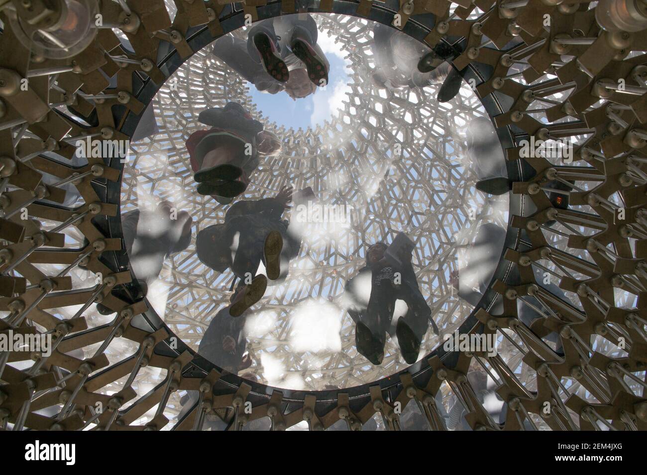 A view from underneath The Hive pavilion, which was unveiled at Kew Gardens, London, today. Designed by Wolfgang Buttress and created by BDP, the Hive Stock Photo