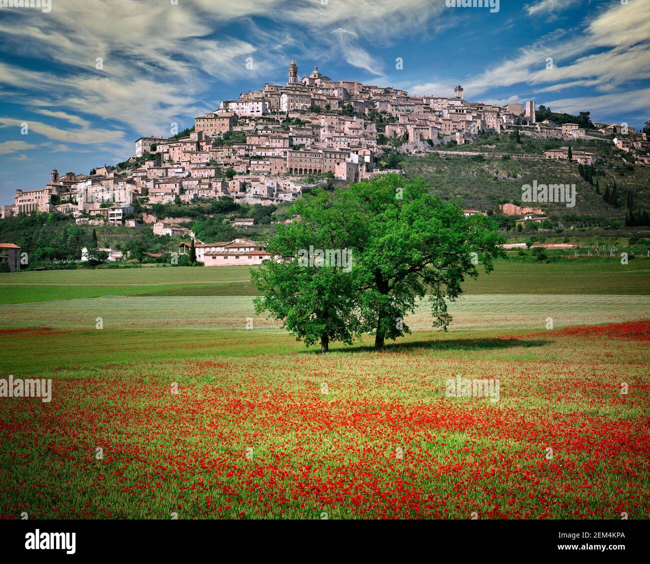 IT - UMBRIA: The picturesque town of Trevi (Latin: Trebiae) Stock Photo