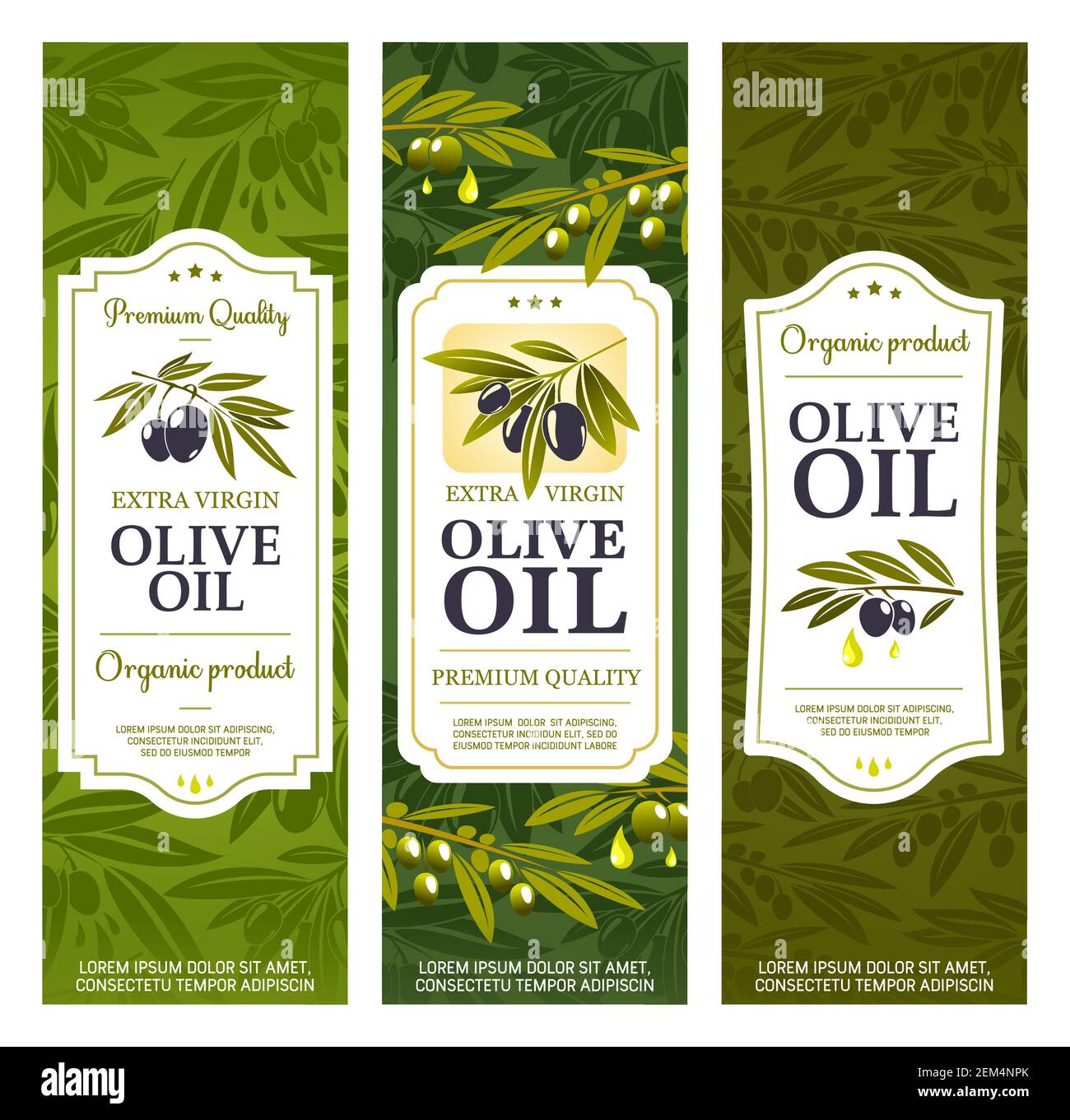 Olive oil bottle package labels, organic extra virgin olives. Vector