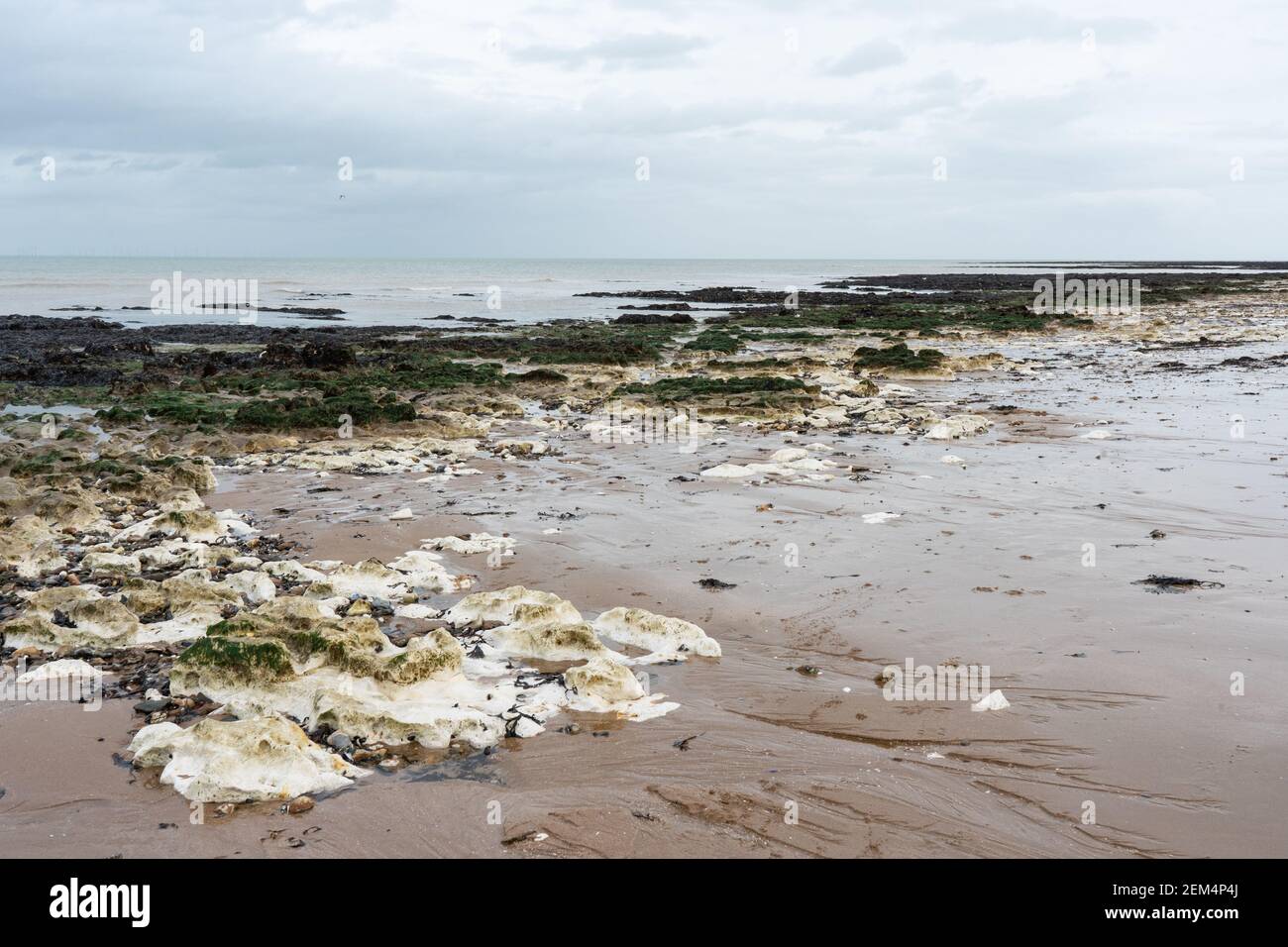 Seascape in margate, palm bay in Kent with rock pools and sea weed on the beach the tide is out, beautiful light Stock Photo