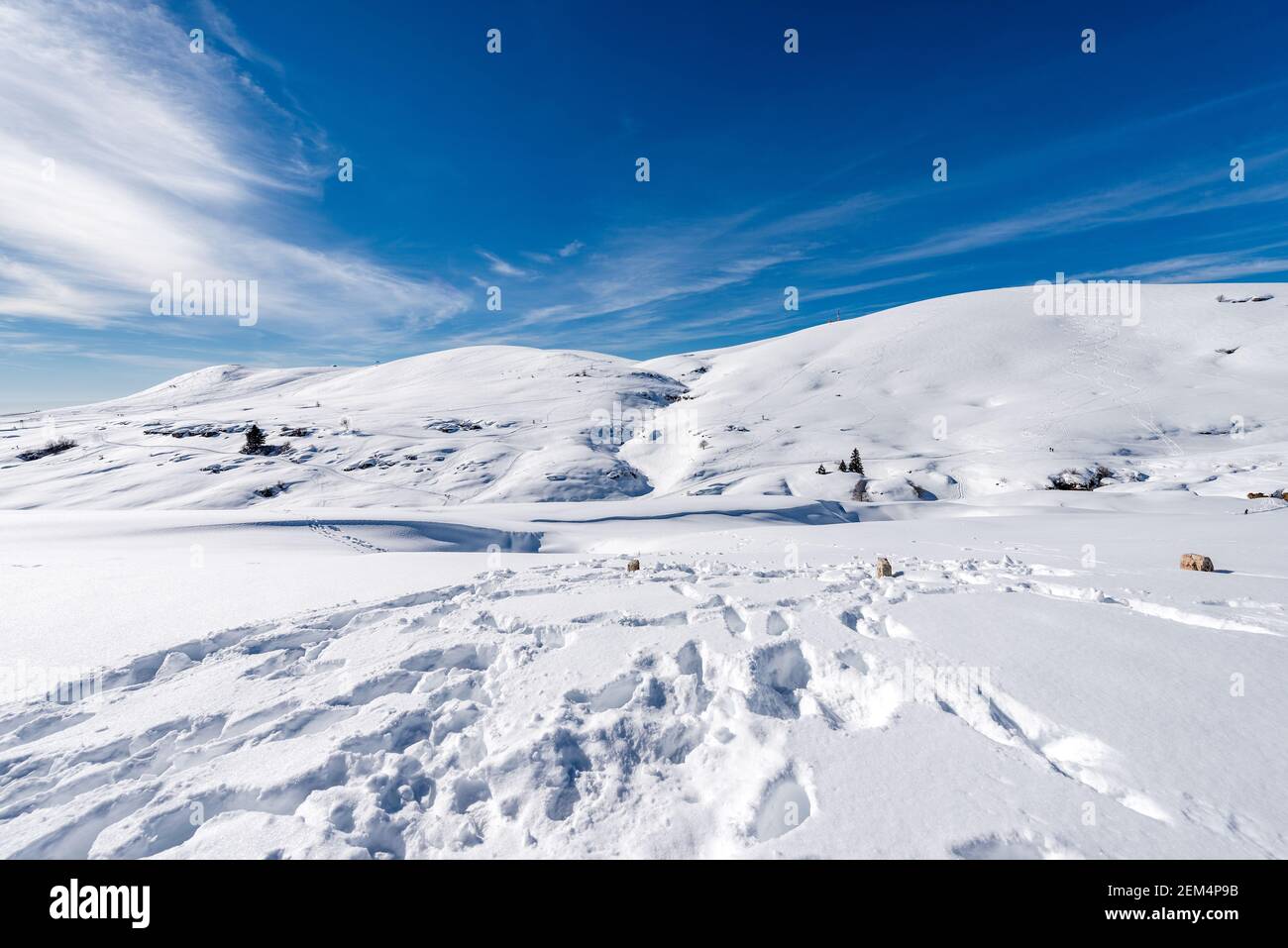 Landscape of the Lessinia Plateau in winter, Regional Natural Park, near Malga San Giorgio, ski resort in Verona province, Veneto, Italy, Europe. Stock Photo