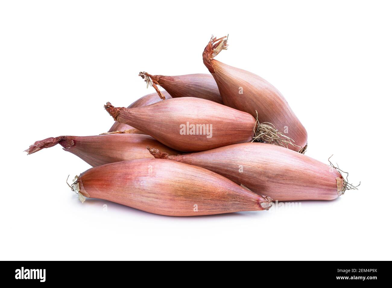 Subtly  and sweet echalion shallots isolated on white Stock Photo