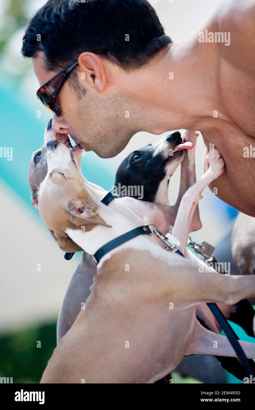 Close-up of a mid adult man kissing a dog Stock Photo