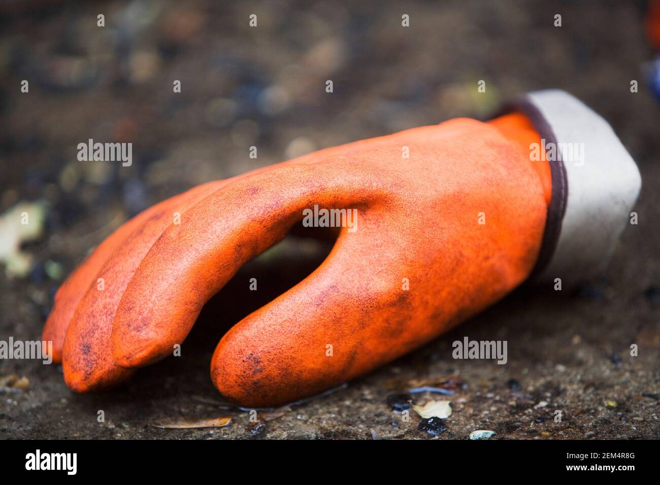 Close-up of a glove Stock Photo