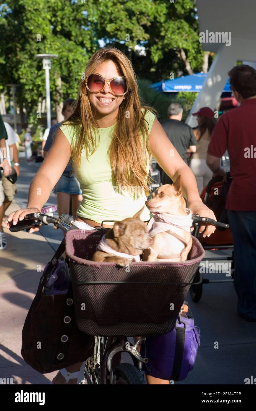 Mid adult woman cycling with two Chihuahuas in the basket Stock Photo
