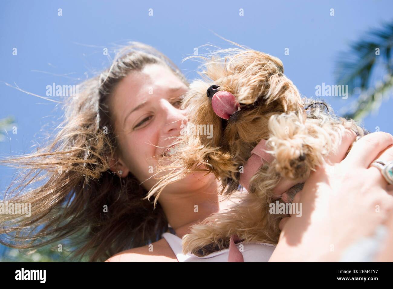 Close-up of a young woman holding her dog and smiling Stock Photo