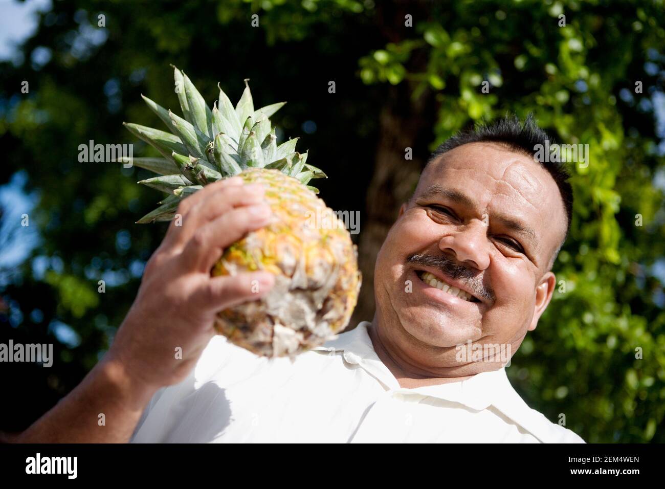 Portrait of a mature man holding a pineapple and looking cheerful Stock Photo