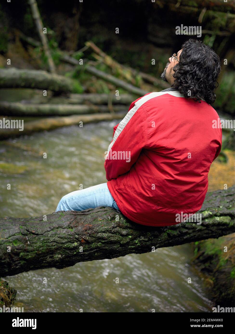 Rear view of a mid adult man sitting on a tree stump Stock Photo