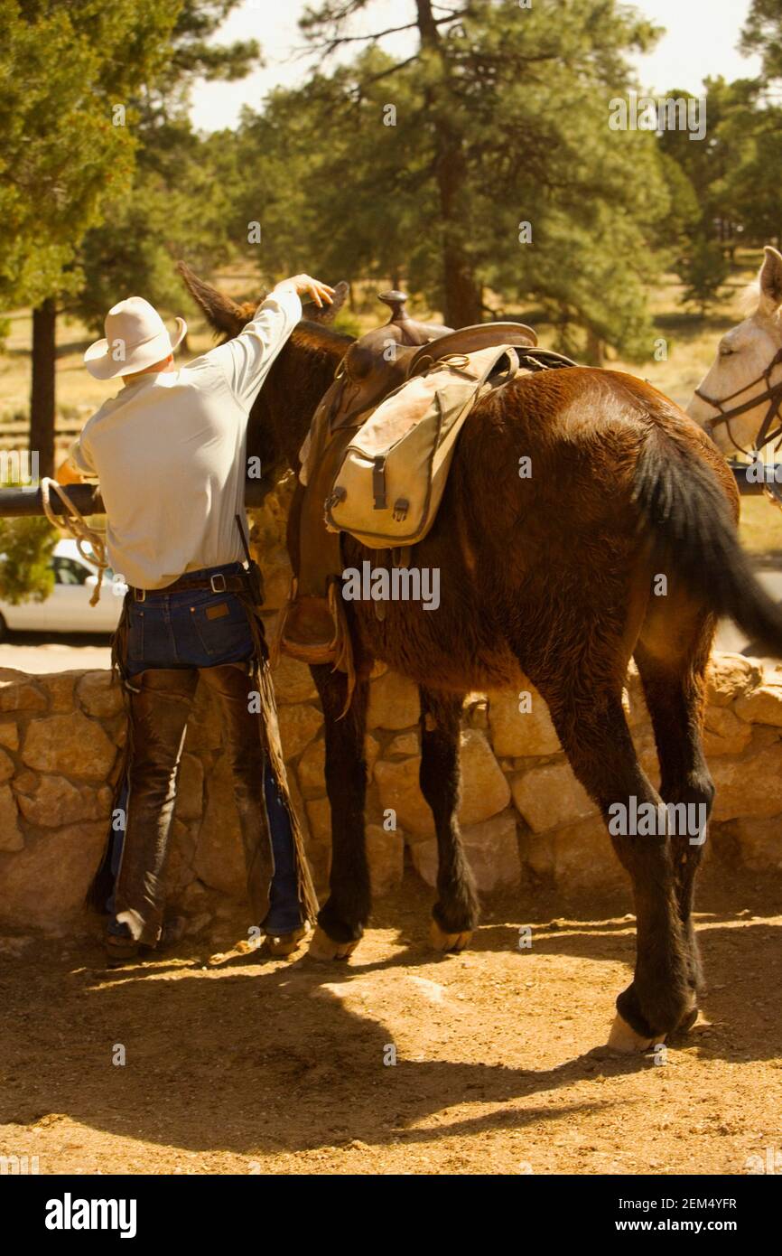 Cowboy has rear view hi-res stock photography and images - Alamy