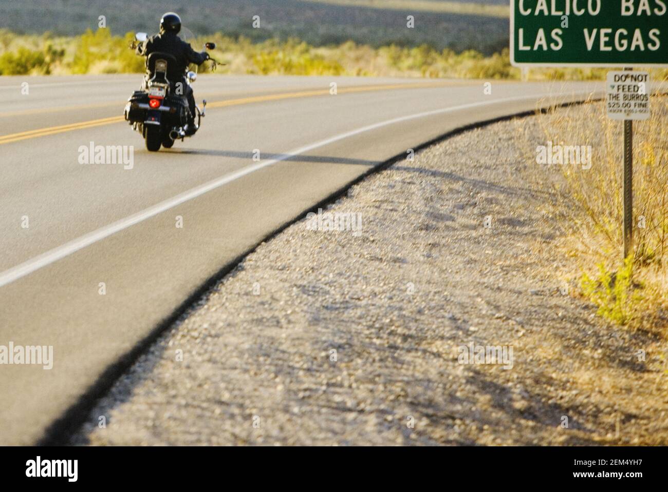 Rear view of a person riding a motorcycle, Las Vegas, Nevada, USA Stock