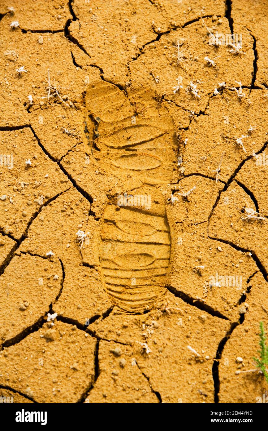 Close up footprint hi-res stock photography and images - Alamy